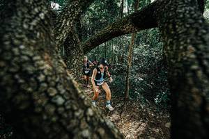 BIB: 
                            <button type="button" onclick="openModal(25391940)" class="btn btn-primary btn-sm float-right btn-popup" data-toggle="modal" data-target=".modal-high-quality">
                        <i class="fas fa-shopping-cart"></i> Add to Cart
                    </button>
                                            <button type="button" onclick="isThisMe(25391940, true)" class="btn btn-success btn-sm float-right btn-popup btn-isme hidden" data-toggle="tooltip" data-placement="bottom" title="นี่คือรูปของคุณใช่ไหม คลิกที่นี่เพื่อเอาเข้าอัลบั้ม">
                        <i class="fas fa-plus"></i> Add to album
                    </button>
                    <button type="button" onclick="isThisMe(25391940, false)" class="btn btn-warning btn-sm float-right btn-popup btn-isnotme hidden">
                        <i class="fas fa-ban"></i> Remove from album
                    </button>